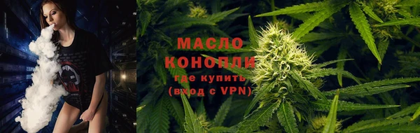 стафф Верхний Тагил