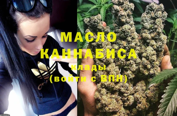 Альфа ПВП Верея