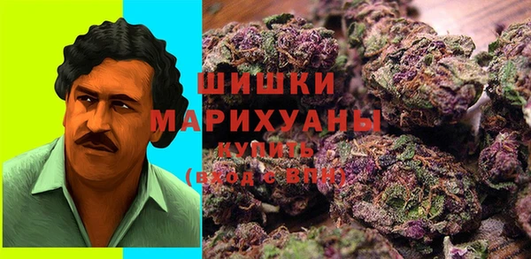 стафф Верхний Тагил