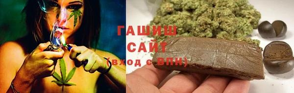 Альфа ПВП Верея