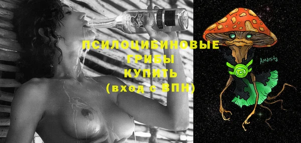 стафф Верхний Тагил