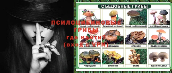 Альфа ПВП Верея