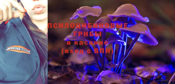 Альфа ПВП Верея