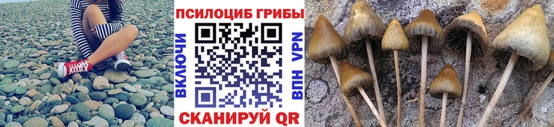 Галлюциногенные грибы мухоморы  Старый Оскол 